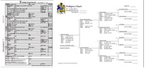 Graphic of family records and pedagree charts.